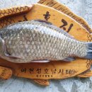 월척낚시터 이미지