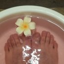 인천 송도유원지 수전통힐링마사지 | 내돈내산 아로마 마사지 후기