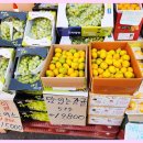 우리야채청과 이미지