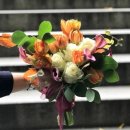 케이트플레르 중앙일보