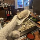 현대자동차 용문점 | 용산역 용문시장 ‘원효굴찜’ 주말 방문 내돈내산 4인 솔직후기