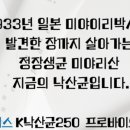 초이커머스 네이버블로그