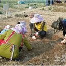 섬김농장 이미지