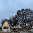 신평로 | [평택] 시즌별로 가고 싶은 당일치기 캠핑, 바베큐장 <주말공원>