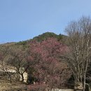 순천-79호 이미지