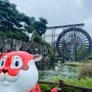 영광방아 | 영광 불갑산 상사화축제 불갑사 꽃무릇 보러 다녀왔어요~