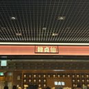 백그릭요거트 | 서울역 한정선 주말 웨이팅, 신메뉴 그릭요거트 찹쌀떡 후기