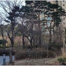 광교갤럭시공인중개사사무소 이미지