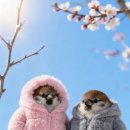 남인경의 노하우/ NC 백화점문화센터 노래교실 -수업이모저모 이미지