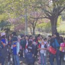 선암초교병설 이미지