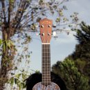 딩가딩가 우쿨렐레 이미지