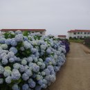 우도사랑민박 이미지