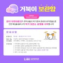 마포구 거북이 스포츠서울