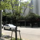 신구강변연가(아파트뒤) 이미지