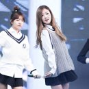 보미