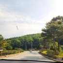 영남한우촌 이미지