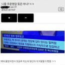 우문현답의 뜻 이미지