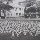 참다운 태권도 이미지