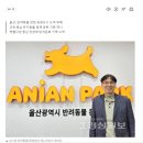 [2026.02.26] [인터뷰]성기창 반려동물 문화센터 애니언파크 센터장, “반려인·비반려인 공존하는 문화 정착 앞장” 이미지