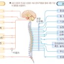 플로우핏 이미지