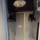 하우스 말로 | 하야트 하우스 어바인 존웨인 에어포트 숙박 후기(Irvine가성비 숙소 추천)