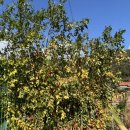 이서우체국 이미지