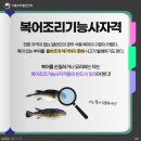 우리복어 이미지