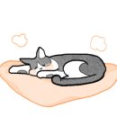 부산서구정신건강복지센터 이미지