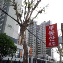 부동산포럼공인중개사사무소 이미지