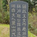 추사 김정희 친필 조기복 묘표 이미지