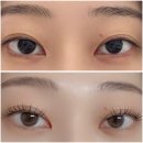 디자인이든 | 상봉역 속눈썹펌 속눈썹연장 맛집 &#34;이든&#34; 솔직후기