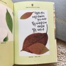 한국캘리그라피디자인센터 이미지