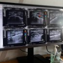 소중한유여성외과의원 이미지