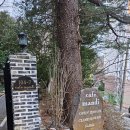 사하구-07 | 동화같은 카페 만디, 부산 사하구 카페 인스타 핫플 카페