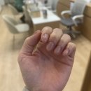 신촌 케이터틀 본식 솔직 후기 / 큐피돈 스냅 짝꿍 코드