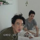 (주)팡팡 이미지