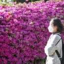 대덕대로-4 이미지