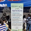 신용초교 이미지