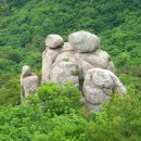 수정다방 이미지