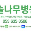 영천나무병원 이미지