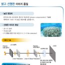 G5350 네이버블로그