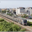 H4353 네이버블로그