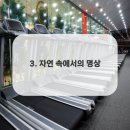 자연과치유 이미지