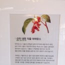 아마란스레스토랑 이미지