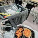 놀러와 뽑기방 | 매일매일 놀고 먹기 행복한 3월의 두번째 기록