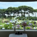 성읍민속로 | [독채풀빌라펜션] 연화(緣花), 제주의 자연을 품은 풀빌라 펜션 후기.