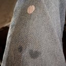 빽가마차 이미지