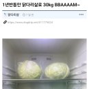 1년 6개월만에 30kg 빠진다는 닭다리살 요리들 이미지