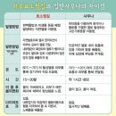 하루효소편백 이미지