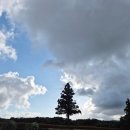 민아목장 이미지